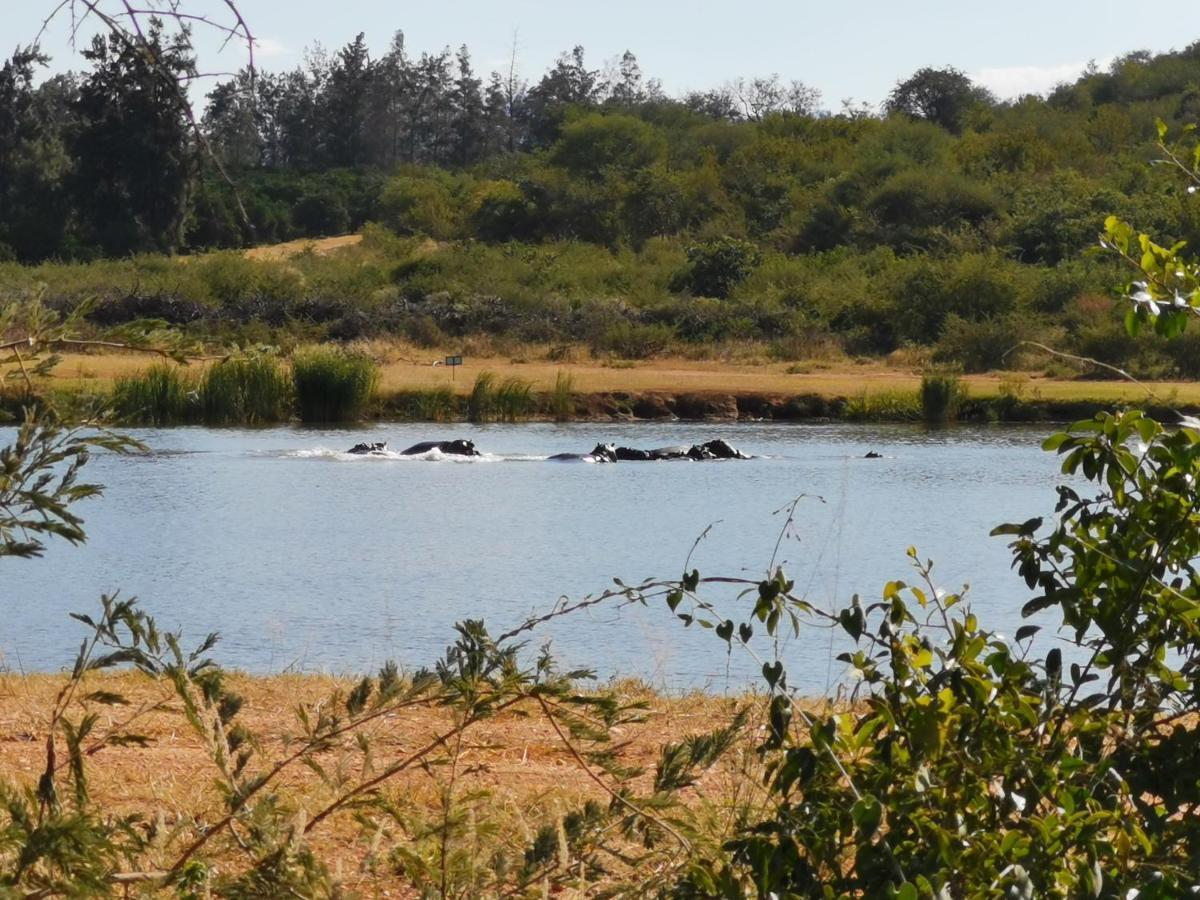 Mali Mali Safari Lodge Hoedspruit Ngoại thất bức ảnh