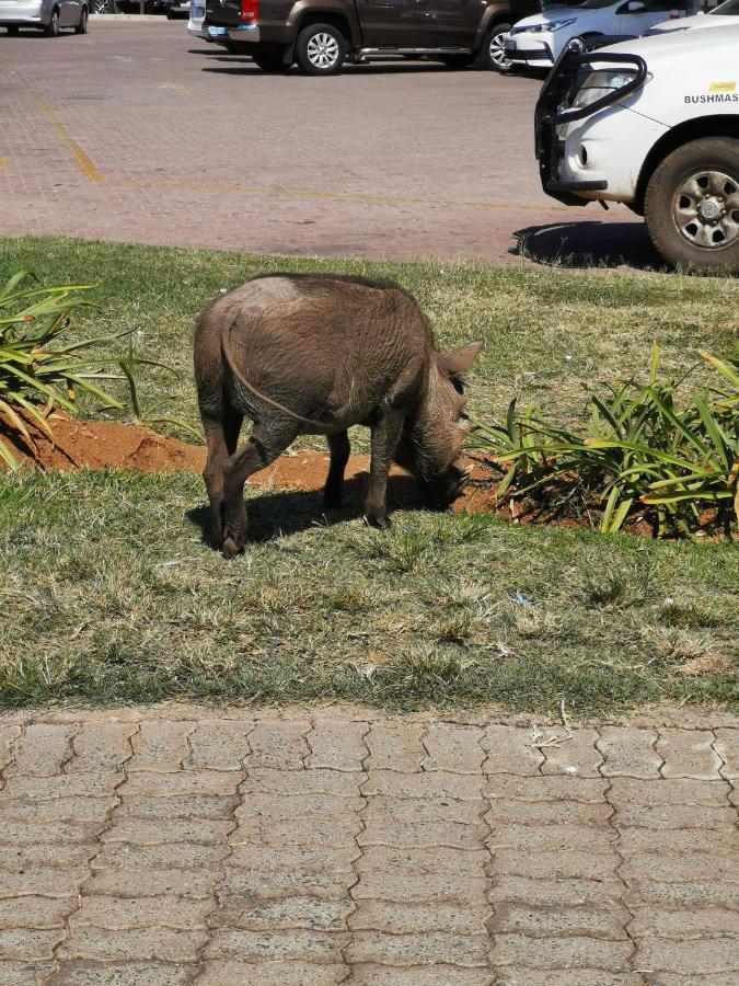 Mali Mali Safari Lodge Hoedspruit Ngoại thất bức ảnh